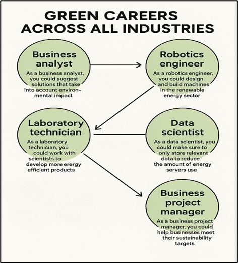 Green Careers: Exploring Opportunities in the Sustainability Sector