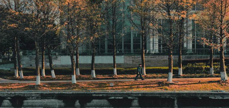 campus sustainability activism