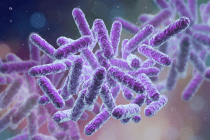 bacterial consortia